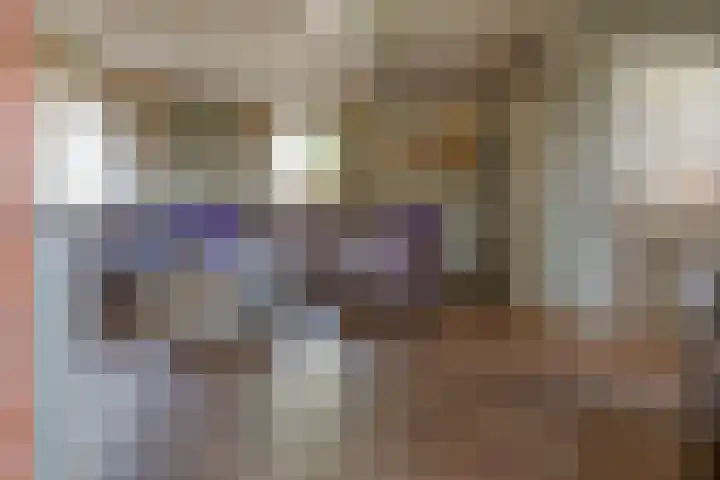Hanebuert 4 Tijnje thumbnail 5
