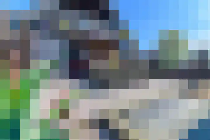 Hanebuert 4 Tijnje thumbnail 50