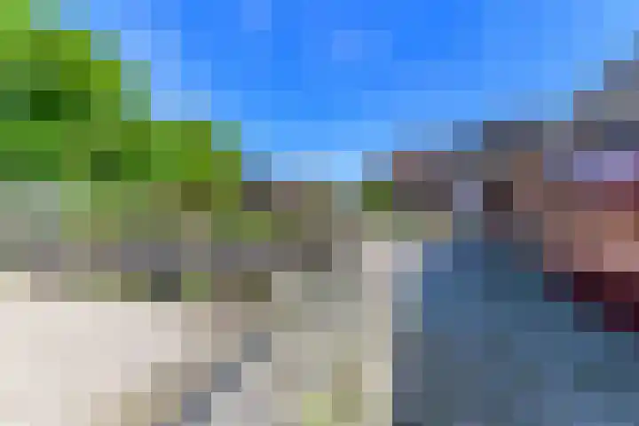 Hanebuert 4 Tijnje thumbnail 51