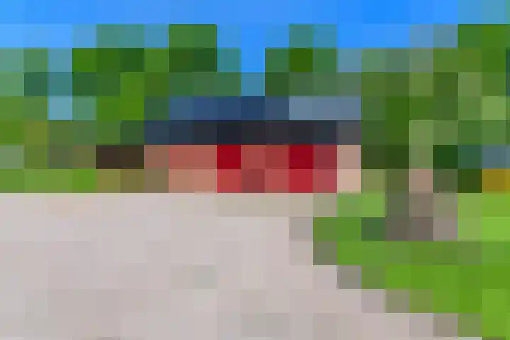 Hanebuert 4 Tijnje thumbnail 53