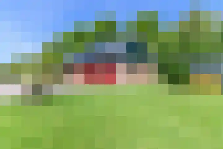 Hanebuert 4 Tijnje thumbnail 54