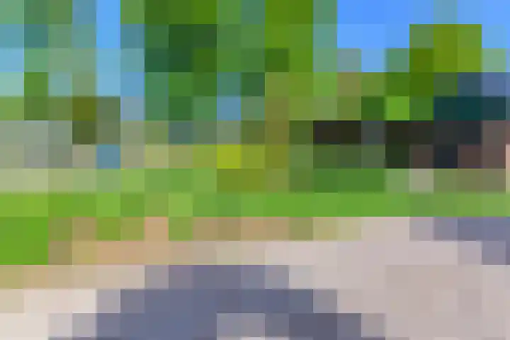 Hanebuert 4 Tijnje thumbnail 57