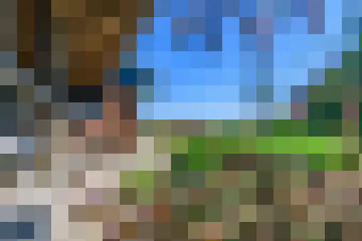Hanebuert 4 Tijnje thumbnail 58