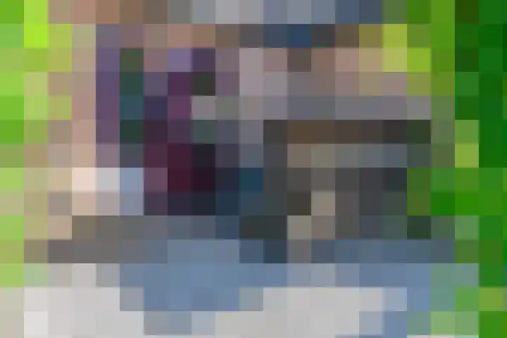 Hanebuert 4 Tijnje thumbnail 59