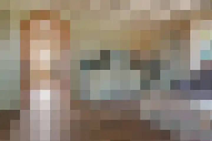 Hanebuert 4 Tijnje thumbnail 6