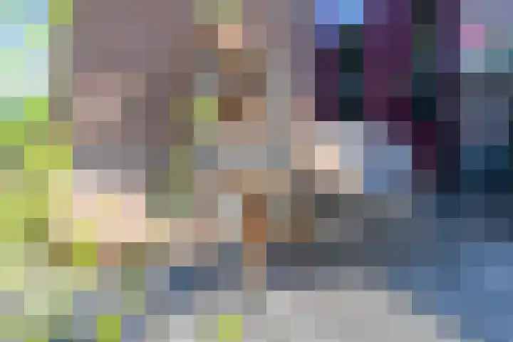 Hanebuert 4 Tijnje thumbnail 60