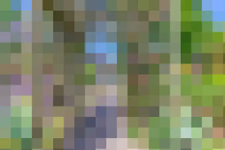 Hanebuert 4 Tijnje thumbnail 64