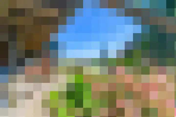 Hanebuert 4 Tijnje thumbnail 65
