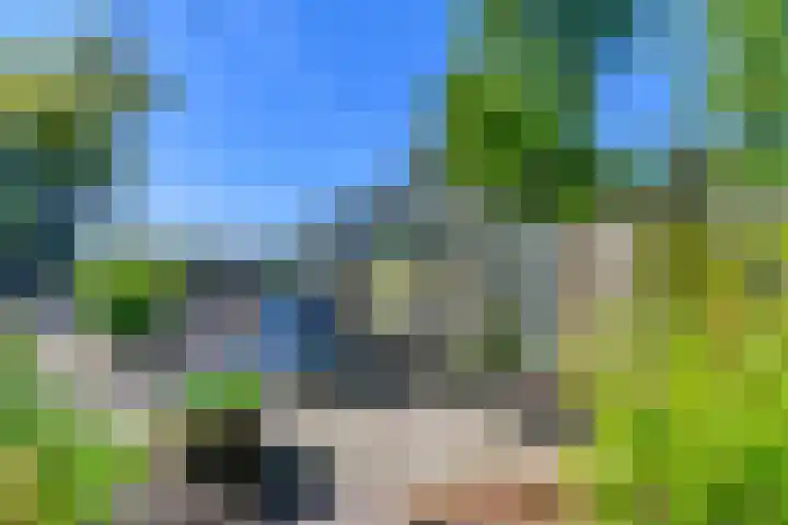 Hanebuert 4 Tijnje thumbnail 66