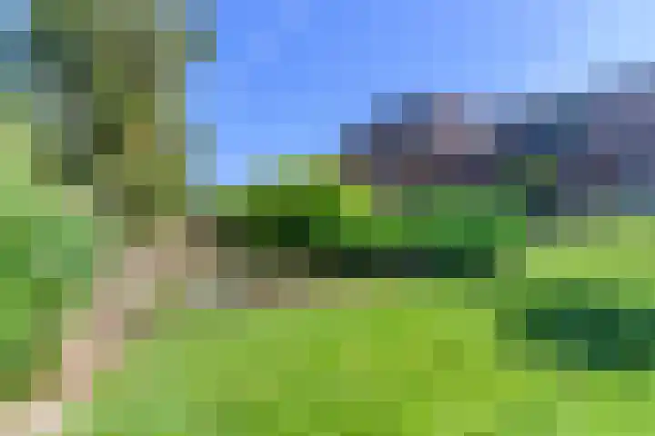 Hanebuert 4 Tijnje thumbnail 67