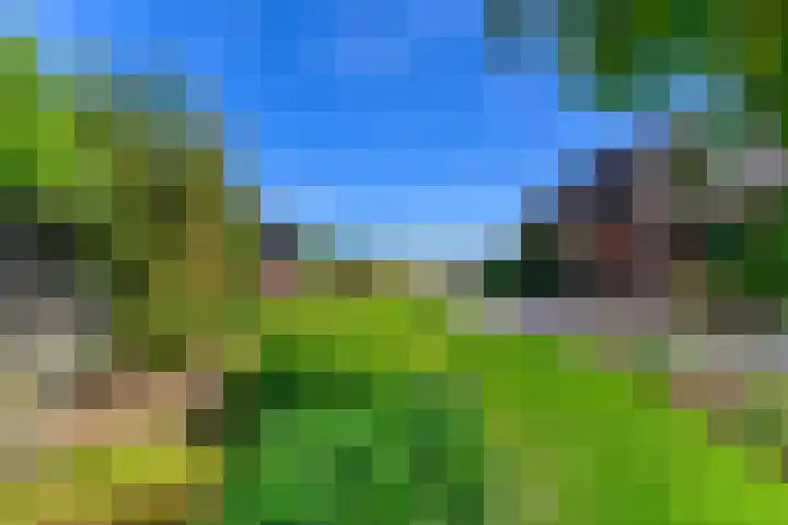 Hanebuert 4 Tijnje thumbnail 68