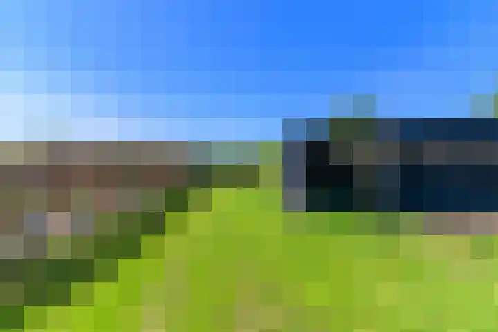 Hanebuert 4 Tijnje thumbnail 69