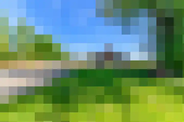 Hanebuert 4 Tijnje thumbnail 70