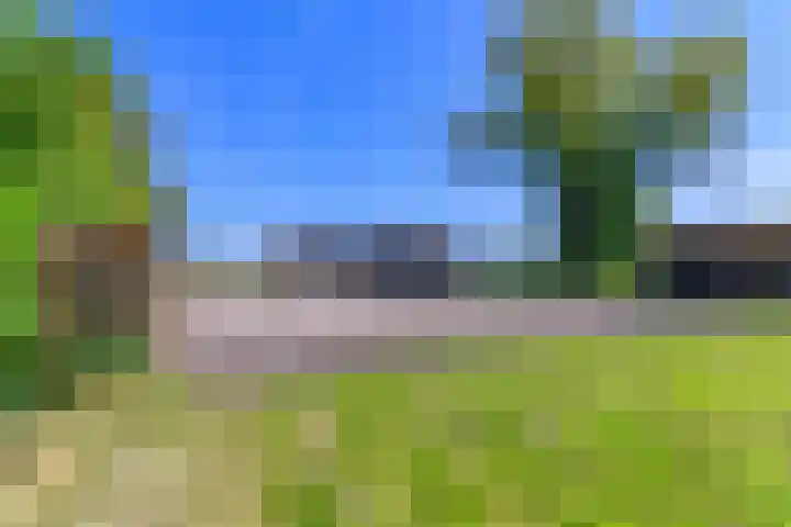Hanebuert 4 Tijnje thumbnail 71