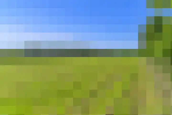 Hanebuert 4 Tijnje thumbnail 72