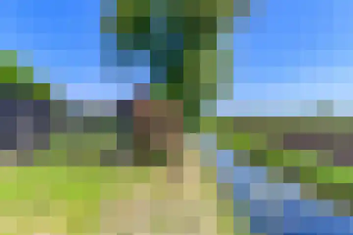Hanebuert 4 Tijnje thumbnail 73