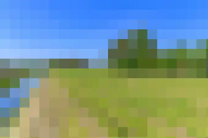 Hanebuert 4 Tijnje thumbnail 74