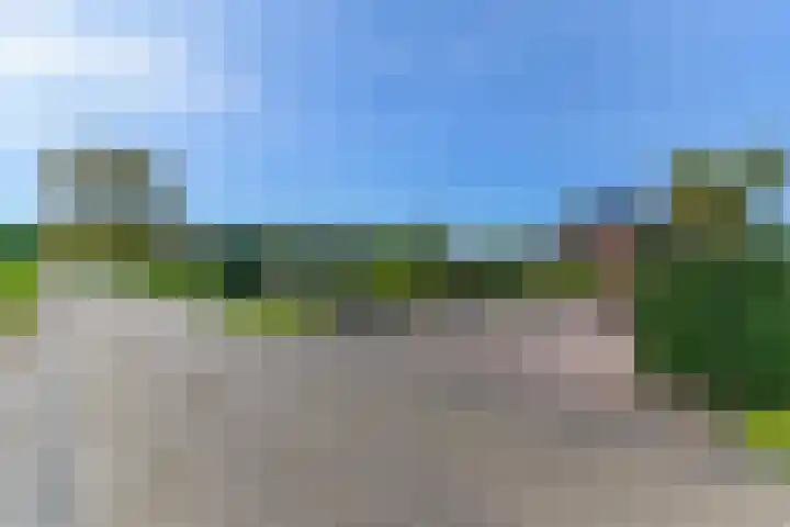 Hanebuert 4 Tijnje thumbnail 75