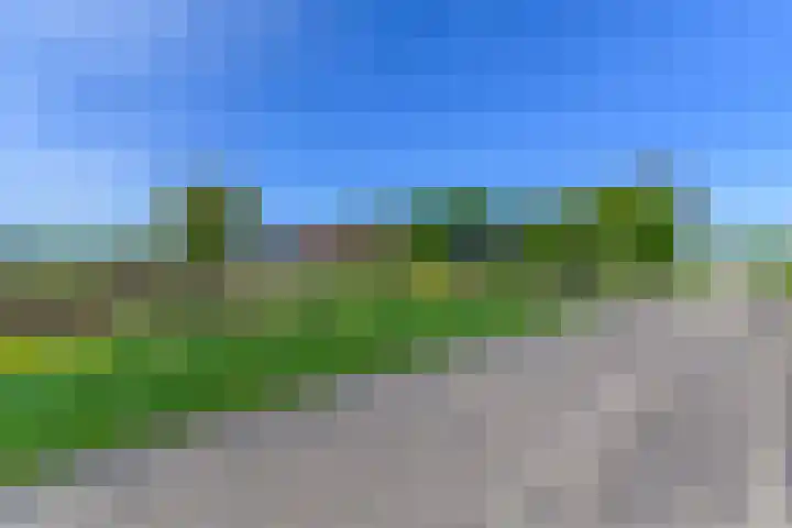 Hanebuert 4 Tijnje thumbnail 76