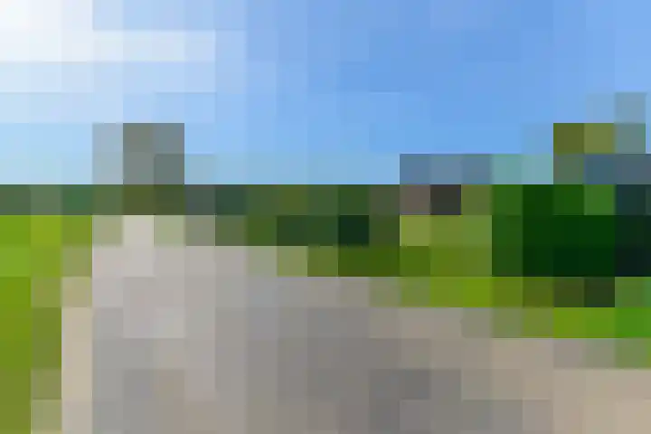 Hanebuert 4 Tijnje thumbnail 79