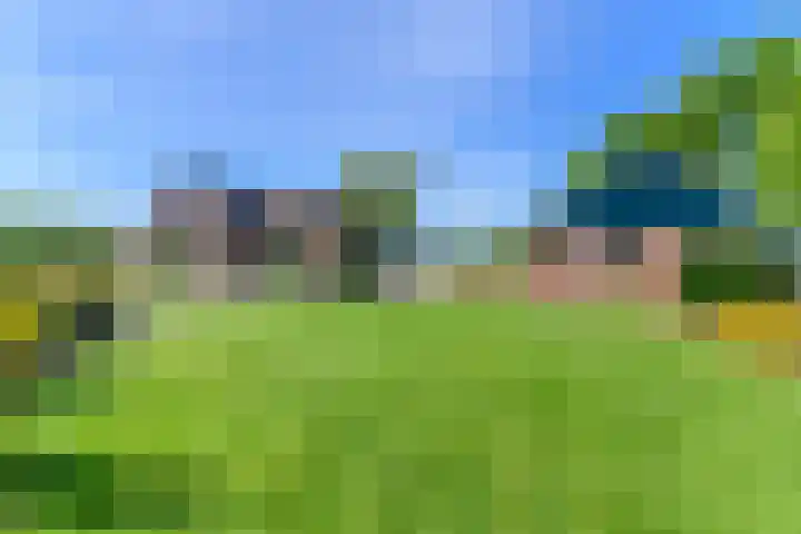 Hanebuert 4 Tijnje thumbnail 80