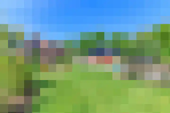 Hanebuert 4 Tijnje thumbnail 81