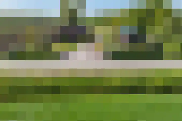 Hanebuert 4 Tijnje thumbnail 82