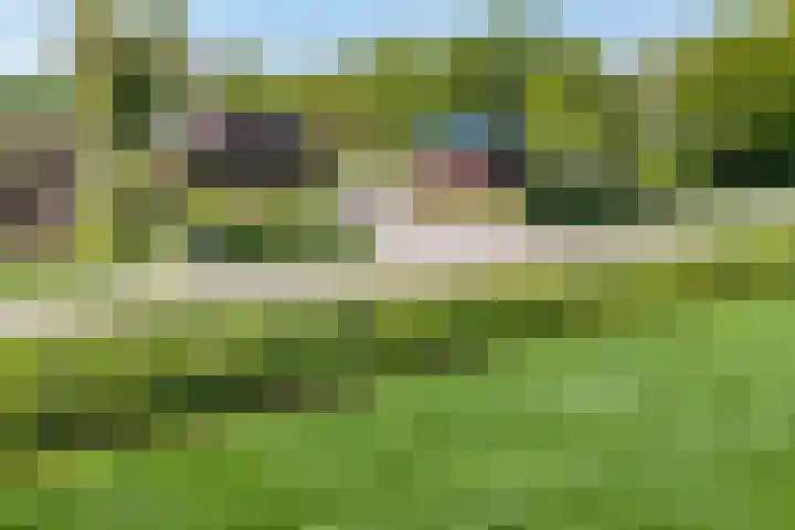 Hanebuert 4 Tijnje thumbnail 83