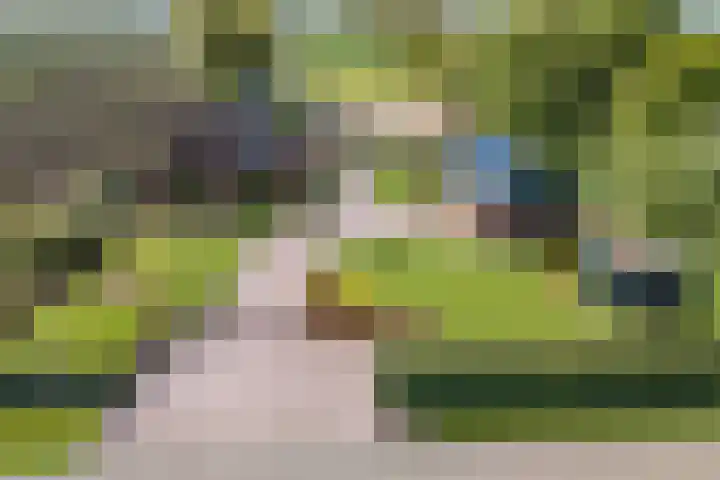 Hanebuert 4 Tijnje thumbnail 84