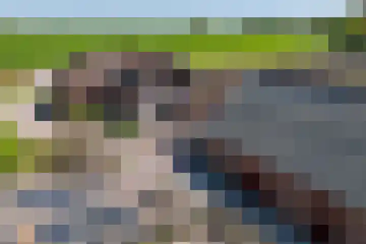 Hanebuert 4 Tijnje thumbnail 85