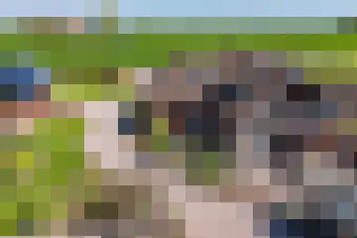 Hanebuert 4 Tijnje thumbnail 86
