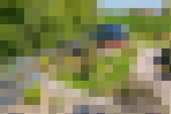 Hanebuert 4 Tijnje thumbnail 87