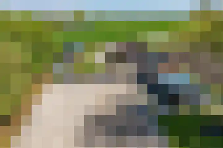 Hanebuert 4 Tijnje thumbnail 88