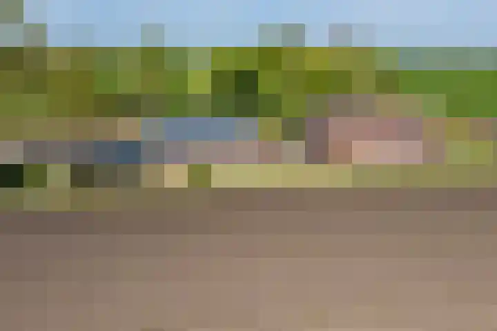 Hanebuert 4 Tijnje thumbnail 89