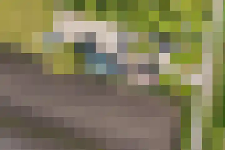Hanebuert 4 Tijnje thumbnail 90
