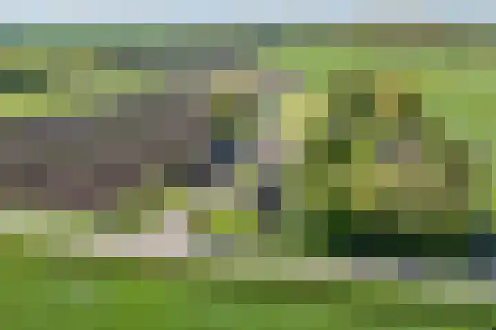 Hanebuert 4 Tijnje thumbnail 91