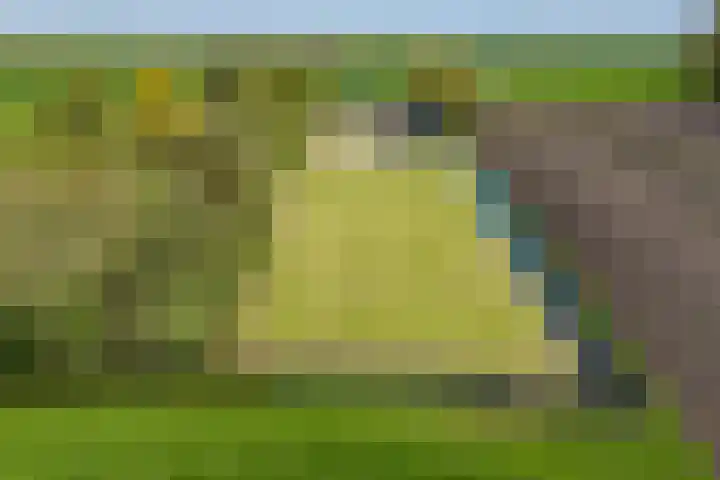Hanebuert 4 Tijnje thumbnail 92