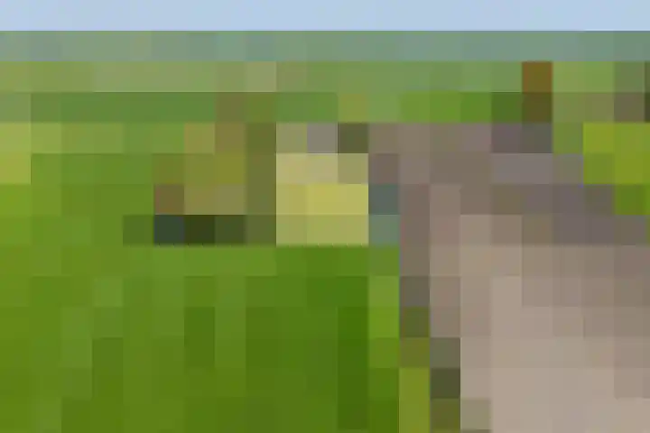 Hanebuert 4 Tijnje thumbnail 93