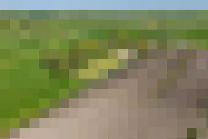 Hanebuert 4 Tijnje thumbnail 94