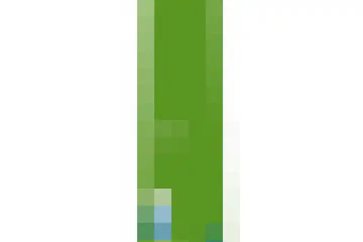 Hanebuert 4 Tijnje thumbnail 95