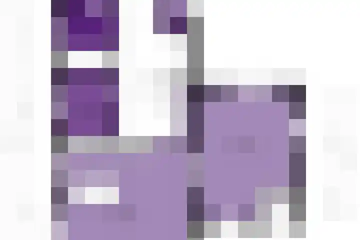 Hanebuert 4 Tijnje thumbnail 96