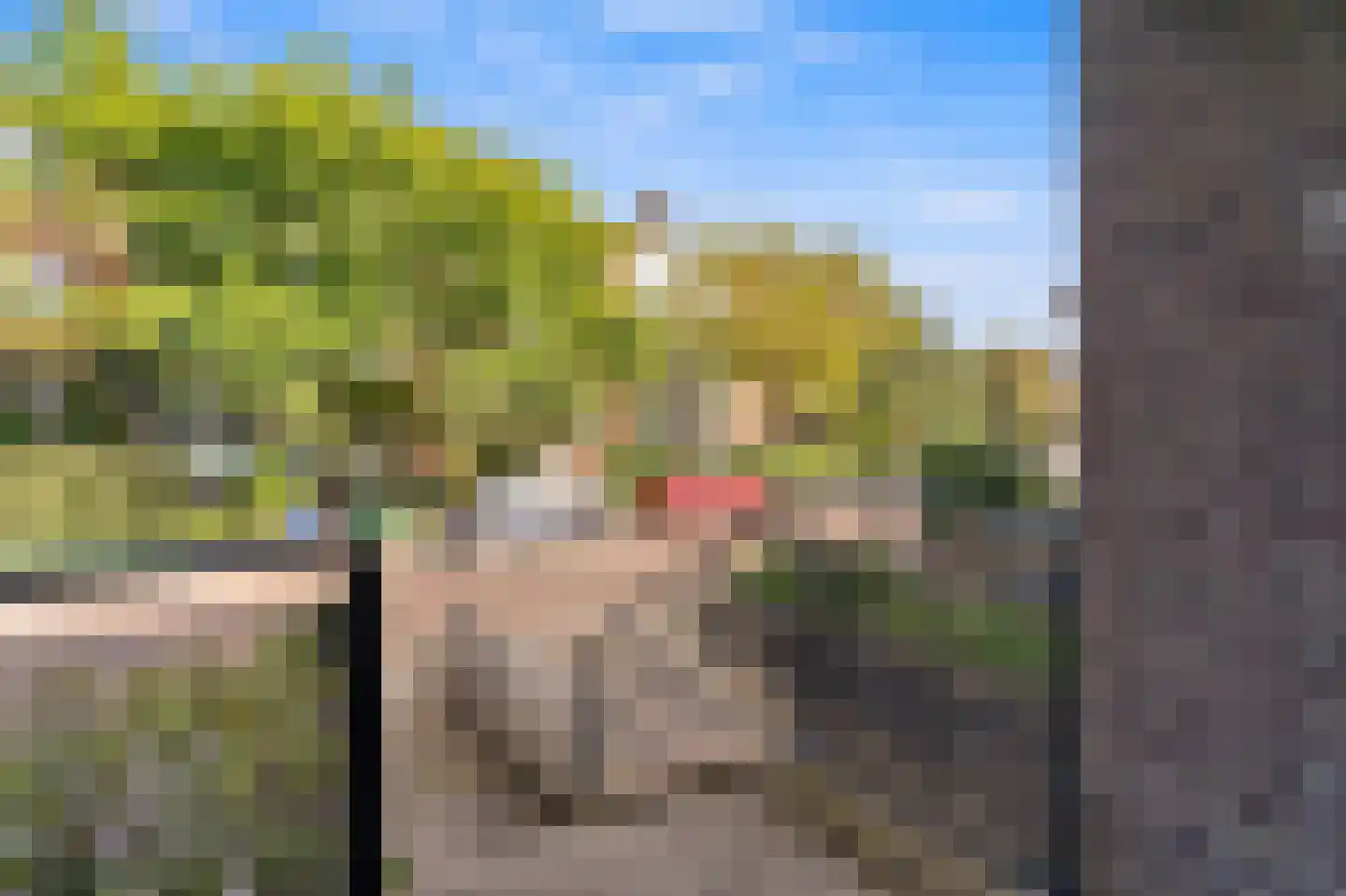 Hanedoesstraat 2 E Den Haag thumbnail 13