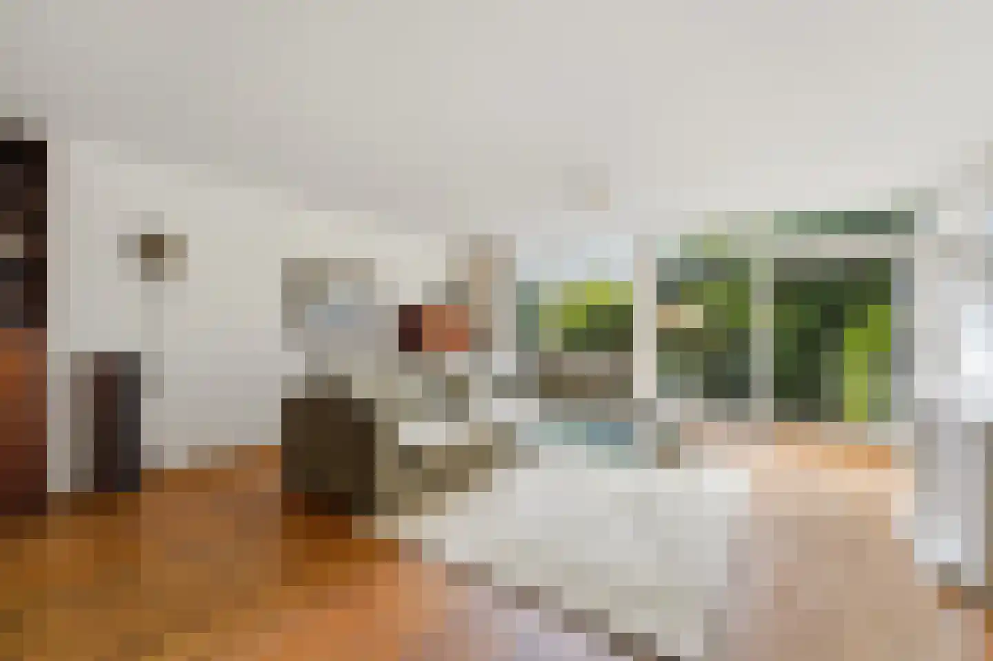 Hanedoesstraat 2 E Den Haag thumbnail 15