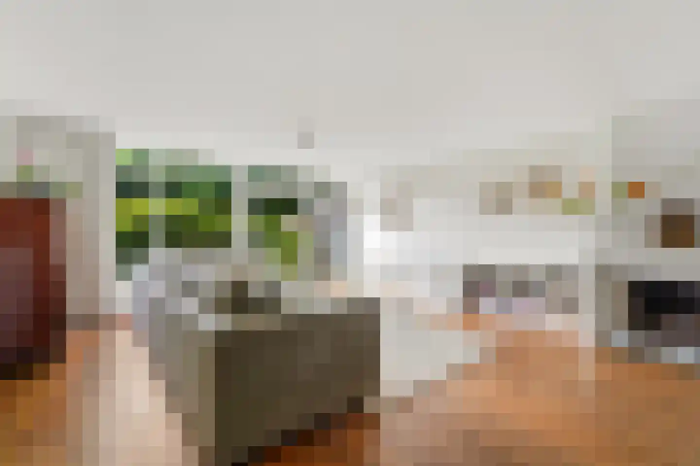 Hanedoesstraat 2 E Den Haag thumbnail 17