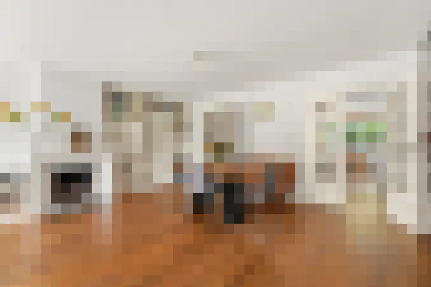 Hanedoesstraat 2 E Den Haag thumbnail 19