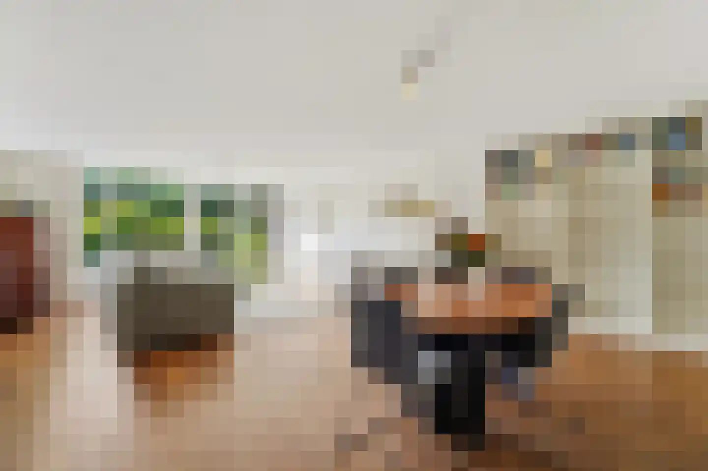 Hanedoesstraat 2 E Den Haag thumbnail 20