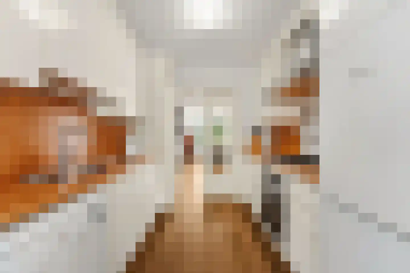 Hanedoesstraat 2 E Den Haag thumbnail 22