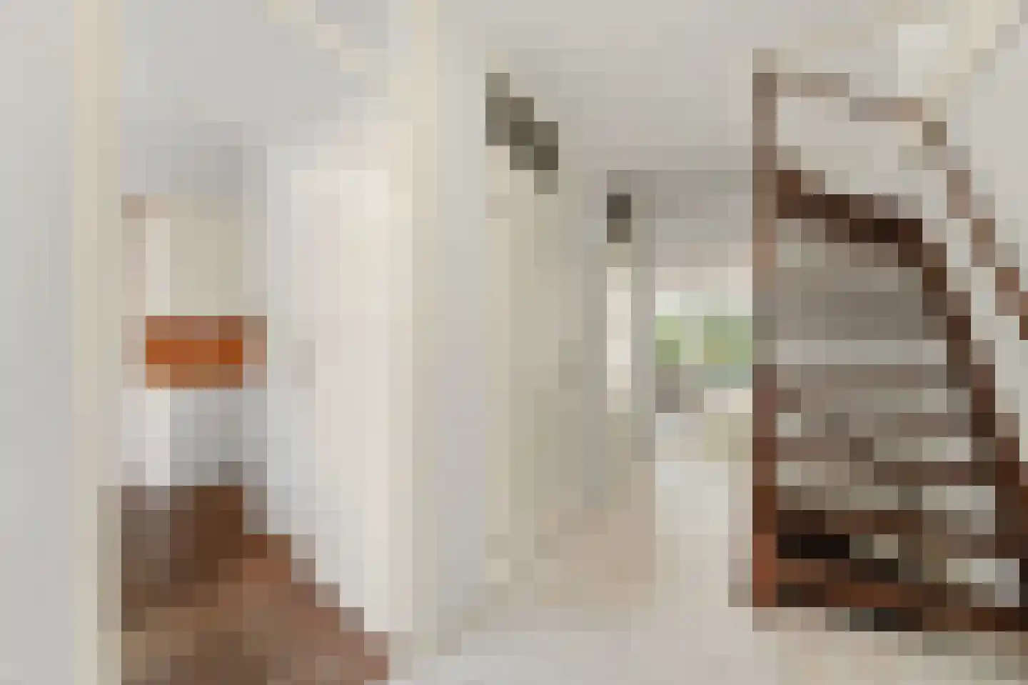 Hanedoesstraat 2 E Den Haag thumbnail 27