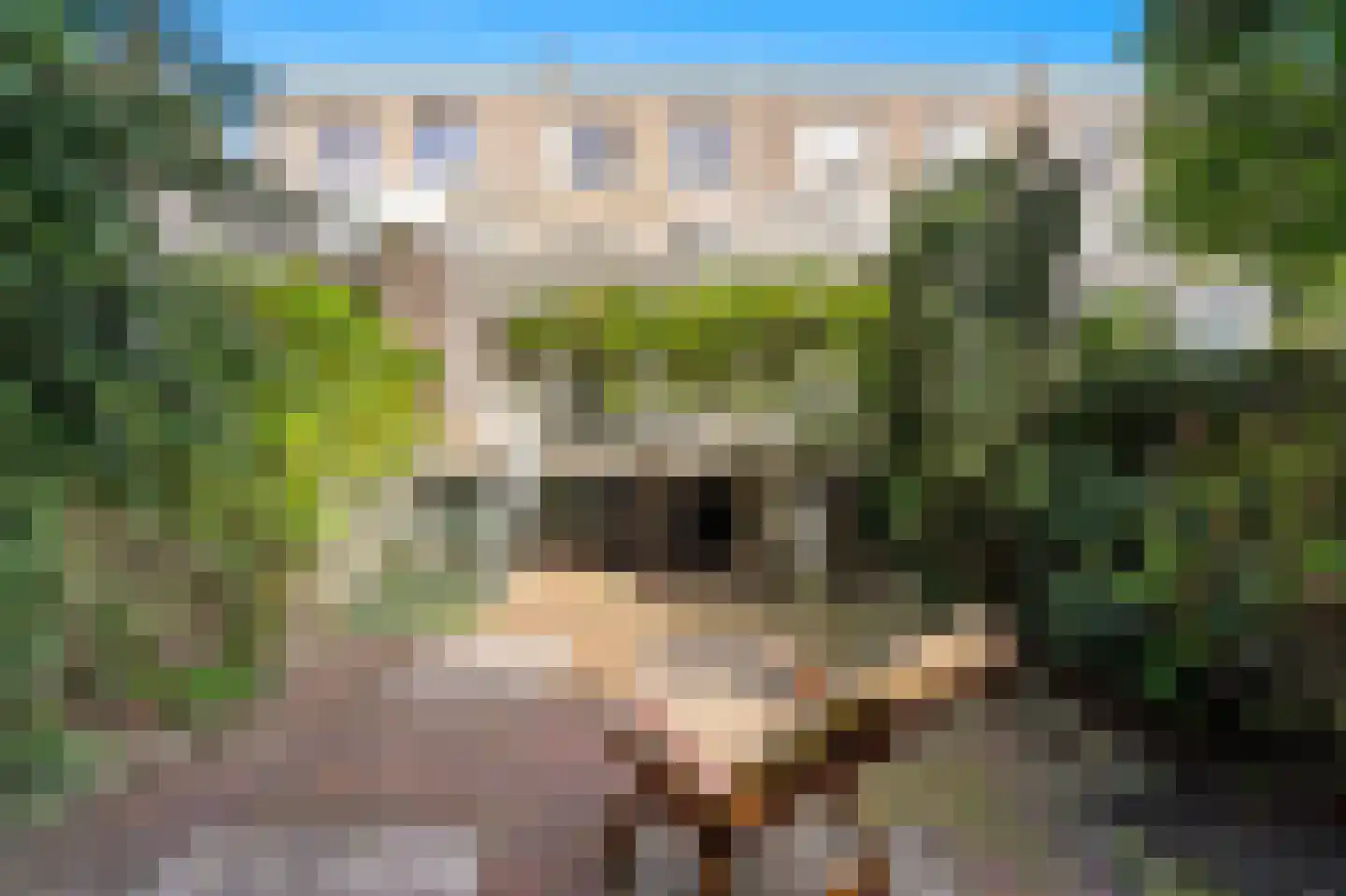 Hanedoesstraat 2 E Den Haag thumbnail 33