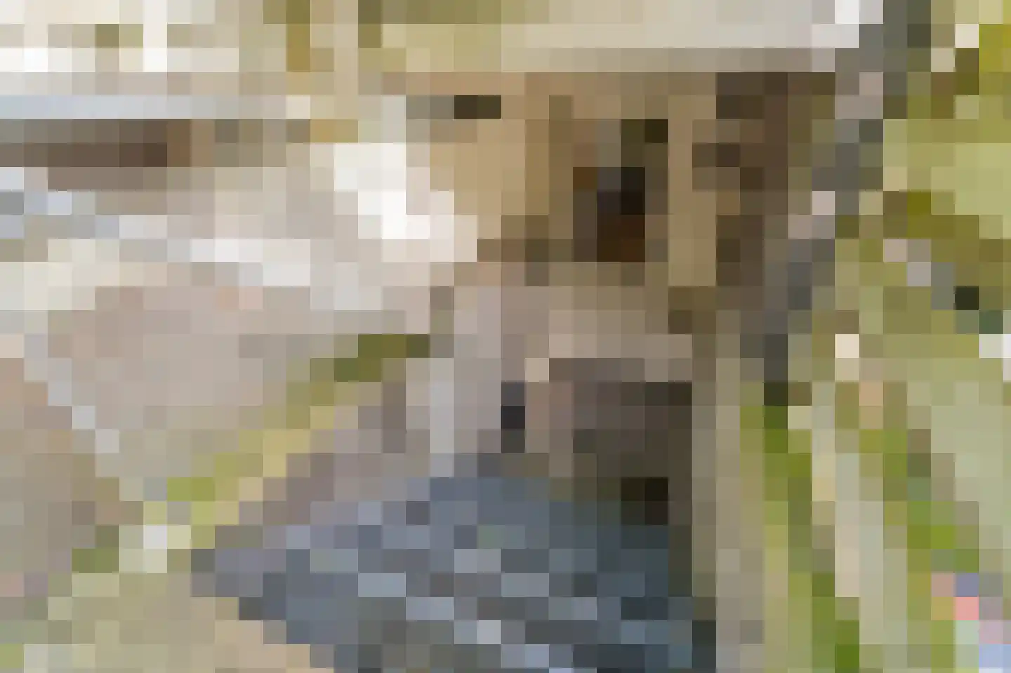 Hanedoesstraat 2 E Den Haag thumbnail 35